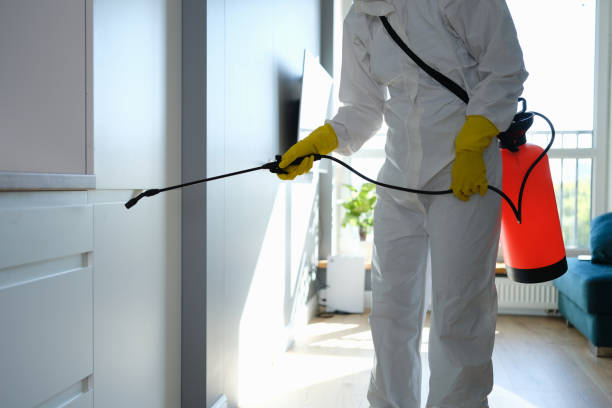 Best Office Mold Removal Services  in Roxana, IL